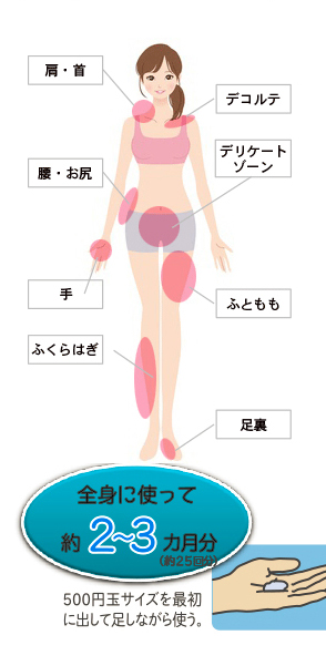 全身に使って約2～3か月