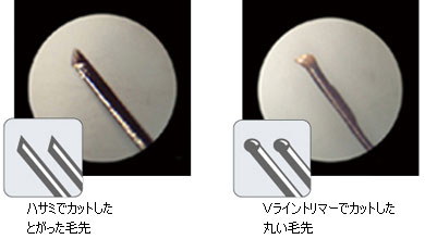 ハサミでカットした尖った毛先　対　Ｖライントリマーでカットした丸い毛先